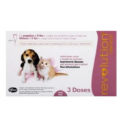 Revolution for Cats and Dogs (預防跳蚤、心絲蟲病、蛔蟲、鉤蟲、耳蟎)