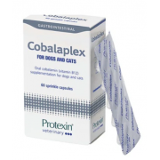 PROTEXIN COBALAPLEX 維他命B12及B9補充劑 60 粒