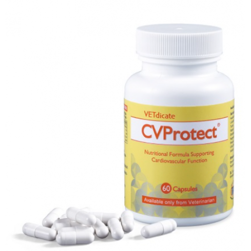  寵特寶 VETdicate   CV Protect 心寶