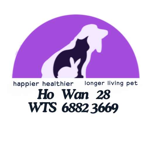 Ho Wan 28 Limited
